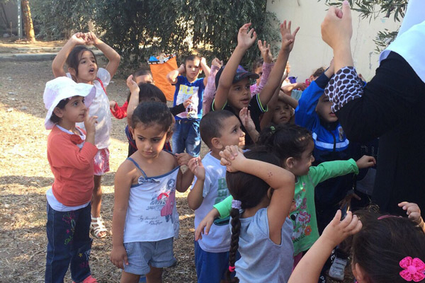 بالصور: فعاليات قطف الزيتون في روضة النرجس بمدينة اللد